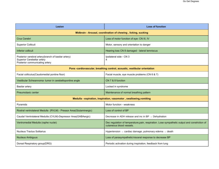 Neuro nbme form 1 answers