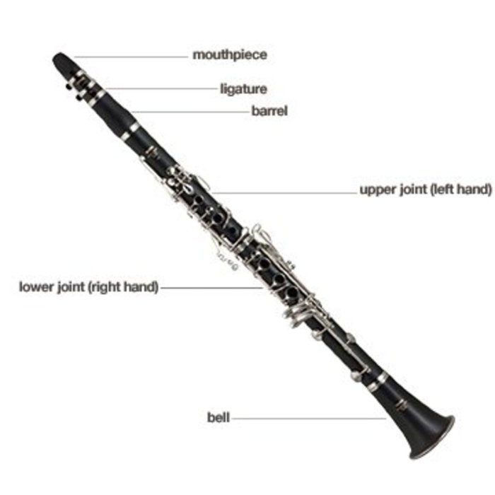 Clarinet mouthpiece anatomy mouthpieces