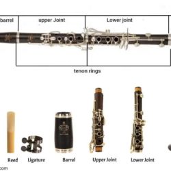 Parts of the clarinet diagram