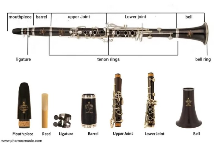 Parts of the clarinet diagram