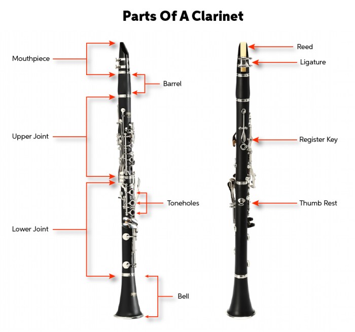 Parts of the clarinet diagram