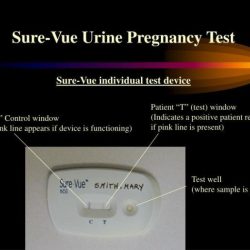 Sure vue pregnancy test positive