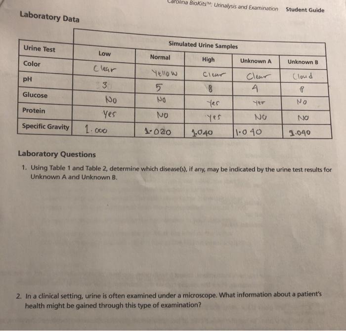 Digging deeper: urinalysis student information