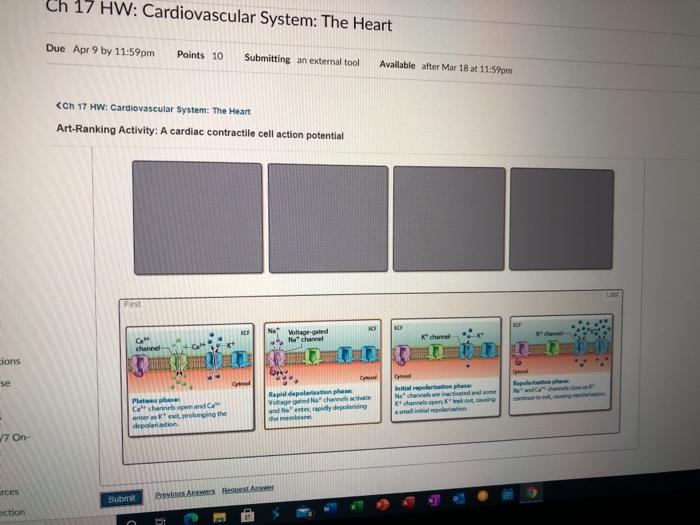 Art-ranking activity a cardiac contractile cell action potential