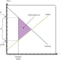 Market power monopolies change monopoly monopolist demand quantity optimal economics due socially would there than loss deadweight price supply effects