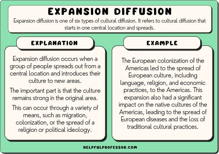 Geography vocabulary human life expectancy example group