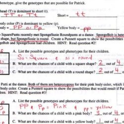 Chapter 10 dihybrid practice problems answer key