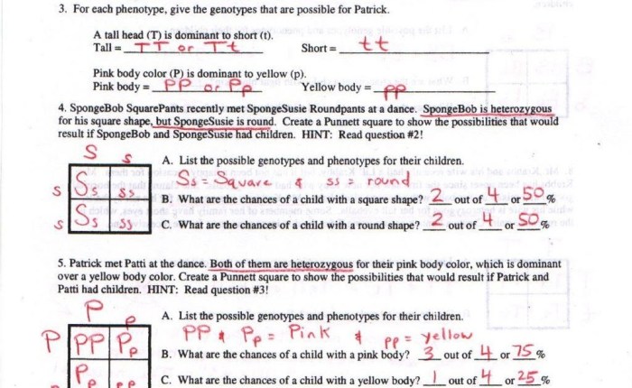 Chapter 10 dihybrid practice problems answer key